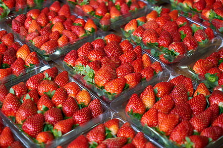 fraise, macro, rouge, frais, Jardin fruitier, en bonne santé, fruits