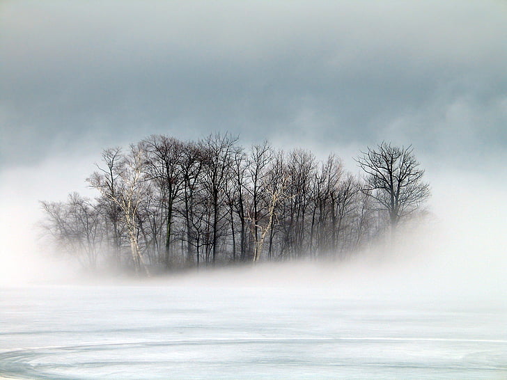 Wyspa, mgła, zimowe, Berkshires, rano, Dreamy, sceniczny