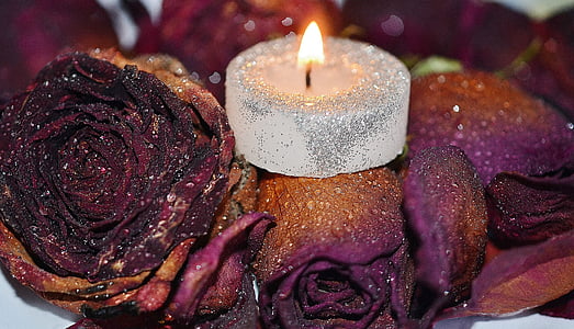 Espelma, vermell, decoració, cera, romàntic, suau, Roses