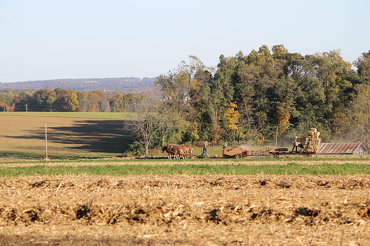 Amish, Pennsylvania, Bauernhof, des ländlichen Raums, Grafschaft, Lancaster, Pferd