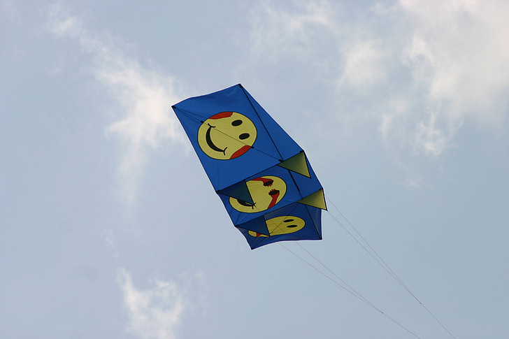 aviator, float, kites, kite flying