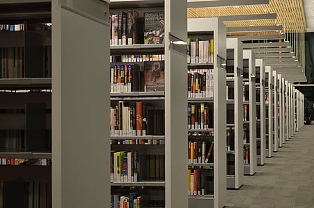 cornell university, library, shelves, books, interior, education, reading