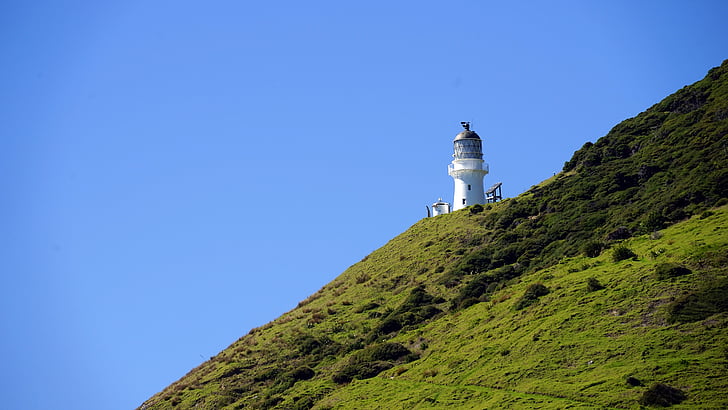 Deniz feneri, Bay Adaları, ada, Yeni Zelanda, North Island, doğa, Deniz kenarında