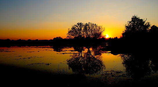 Anuradhapura, Srí lanka, naplemente, tó, természet, elmélkedés, sziluettjét