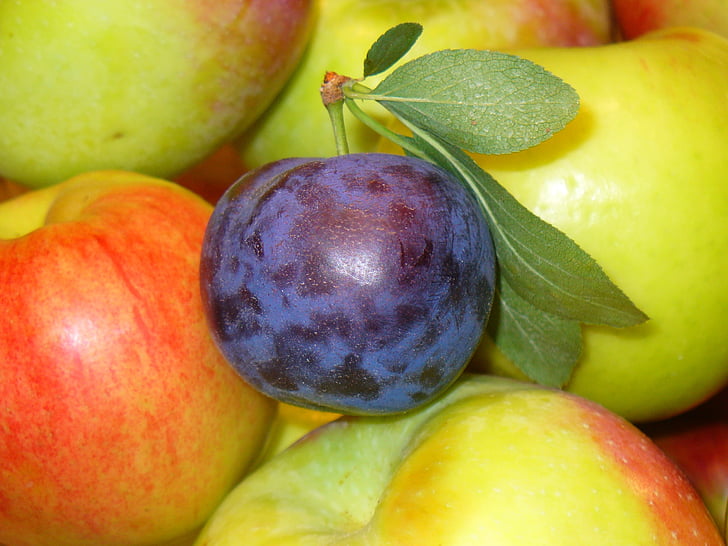 frukter, plommon, äpplen, mat, ekologisk, friska, Söt