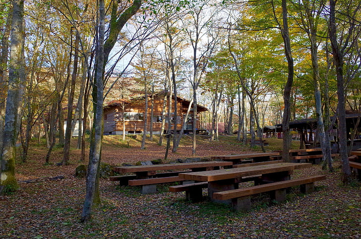 automne, terrain de camping, Camping, Susono, nature, arbre, à l’extérieur