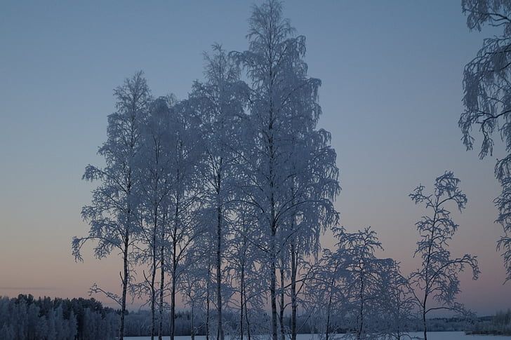 χιόνι, Φινλανδικά, Φινλανδία