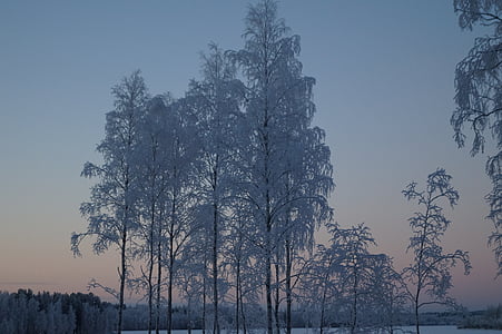 сняг, Финландски, Финландия