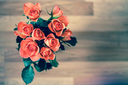 fleurs, amour, nature, roses, bouquet, roses rouges, plancher en bois