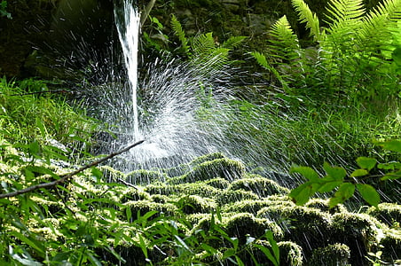 Водопад, воды, всплеск, струя воды, объектив воды, пейзаж, lichtspiel