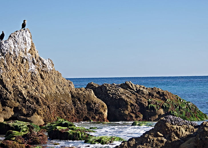 Pacyfiku, wody, Ocean, Brzeg, Natura, Wybrzeże, California beach