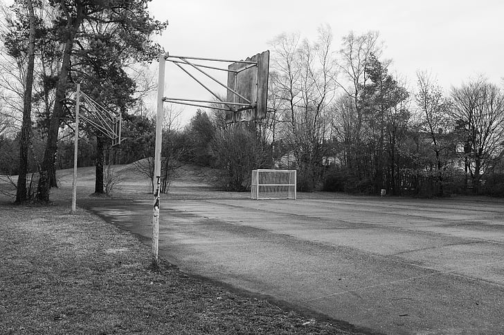 cảnh quan, đen trắng, bóng rổ, cây