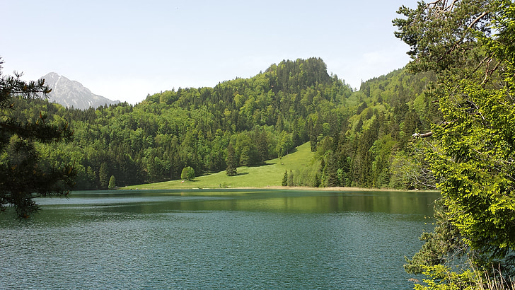 Alatsee, Allgäu, idylle, eau, toujours, été, montagnes