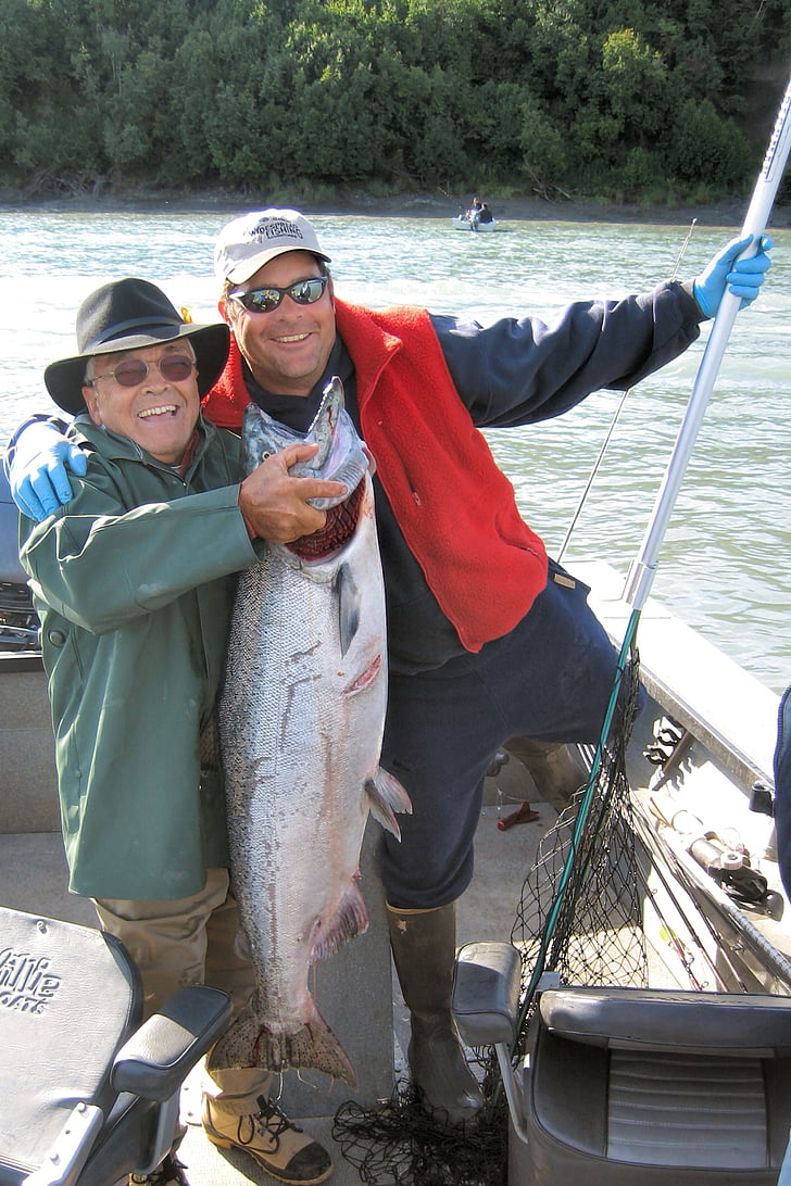 hal, Alaszka, alaszkai útmutató, Kenai river, öröm, boldog, király lazac