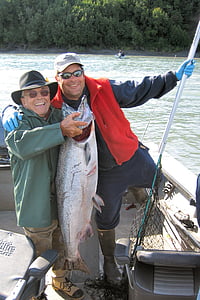 zivis, Alaska, Aļaskas rokasgrāmata, Kenai river, prieks, laimīgs, King salmon