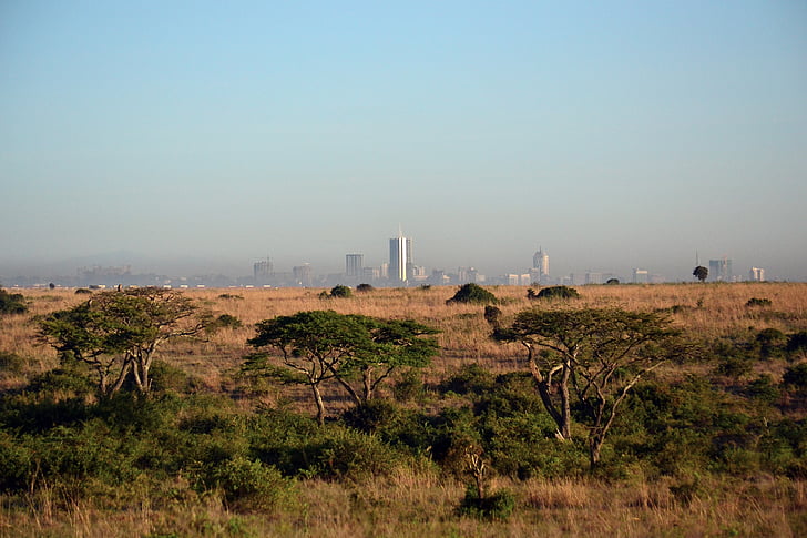 nairobi, kenya, africa cityscape, savanna