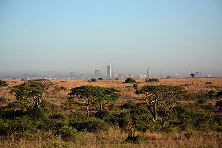 Nairobi, Kenija, Afrika gradski pejzaž, savana