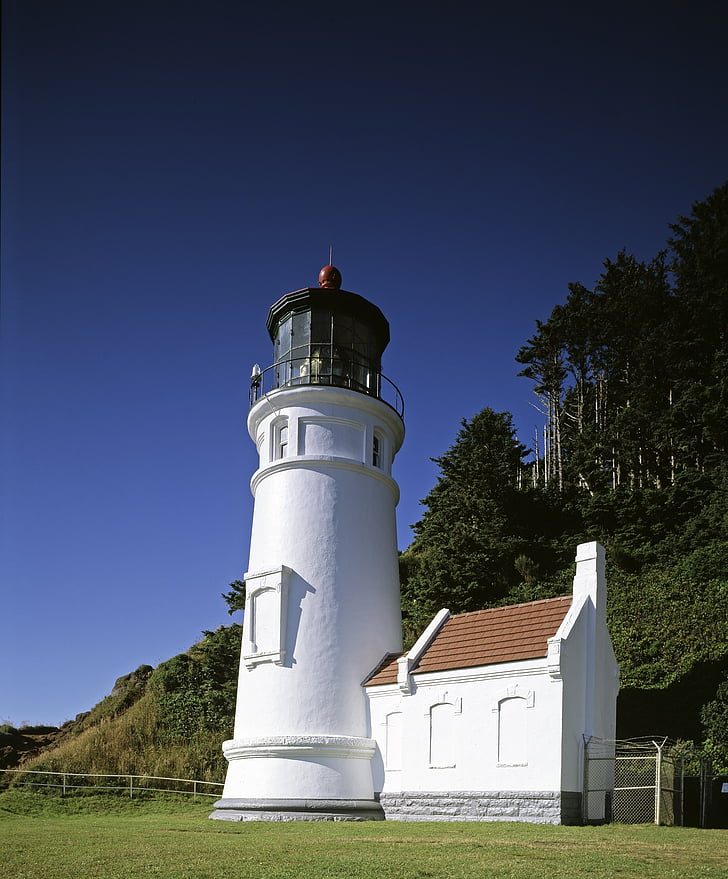 heceta head lighthouse, światło stacji, Ocean, światło, Wybrzeże, Oregon, Stany Zjednoczone Ameryki