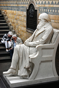 statue, darwin, museum, natural history, london
