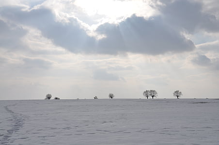 Winter, Schnee, Frost, Feld