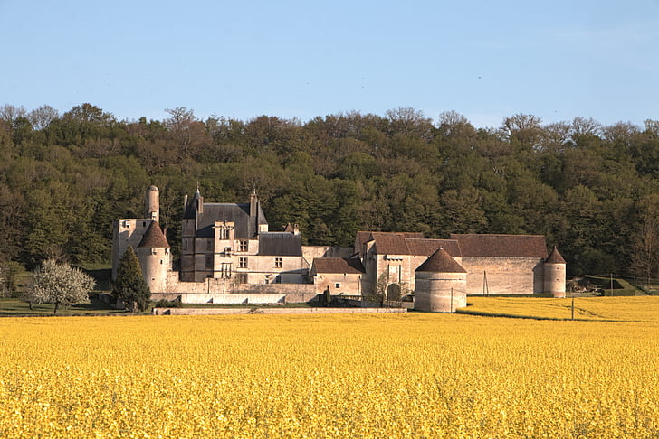 fältet, Burgundy, gård, kultur, kanalen nivernais, Yonne, Frankrike