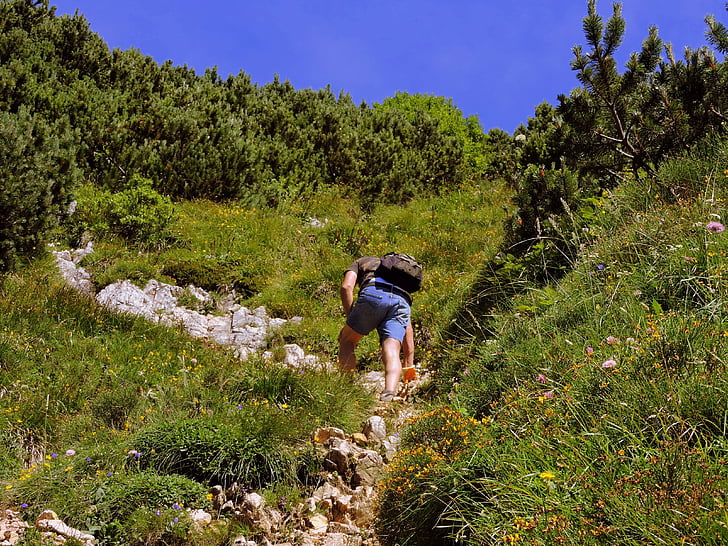 ascent, walk, trail, mountain, hiking, grass, green