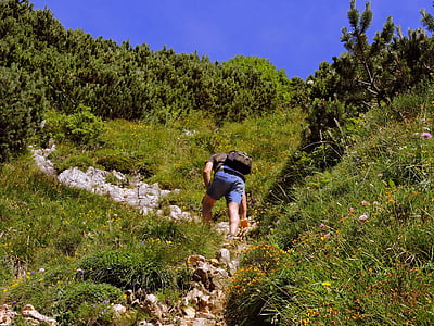 salita, a piedi, sentiero, montagna, escursionismo, erba, verde