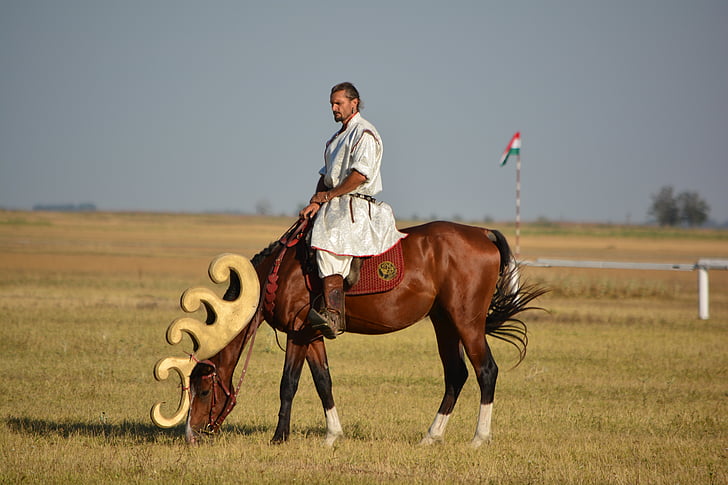 hungarian, culture, tradition, rider, aranyszarvas