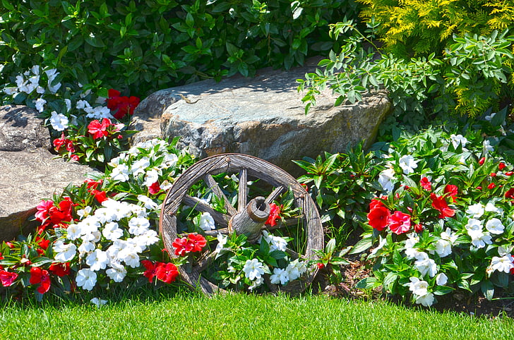 flowers, nature, composition, spring, wooden wheel