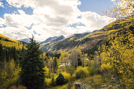 Colorado, rudens lapas, kalni, kritums, rudens, atstāj, daba