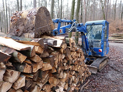 bosque, madera, árbol, casos de árbol, trabajo forestal, vehículo, excavadoras