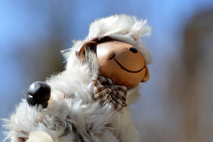 oveja, lindo, gracioso, juguete de peluche, piel, mundo animal