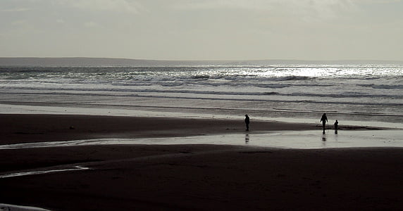 gens, océan, rive, plage, silhouettes, ombres, sable