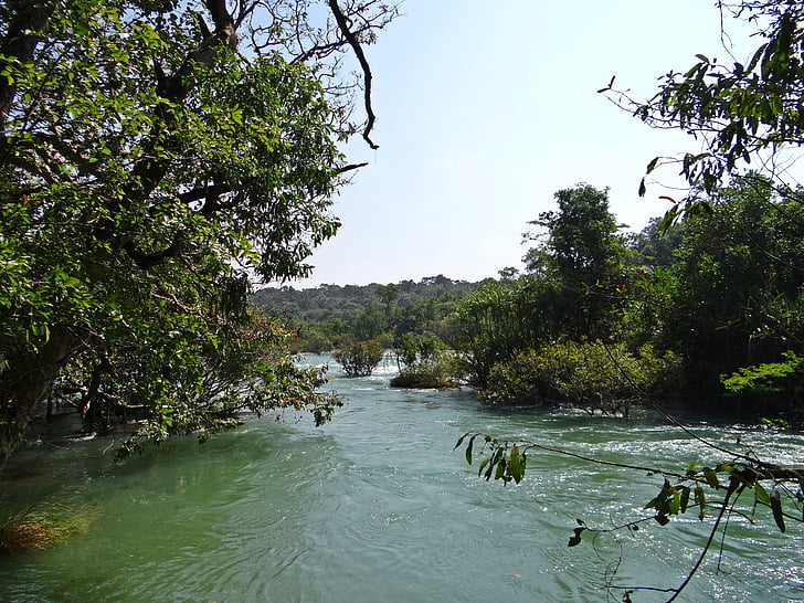 rivière, Kali, eau, flux, paysage, Ghâts occidentaux, dandeli