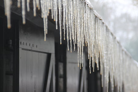 jääpuikko, Ice, talvi, piristys, Frost