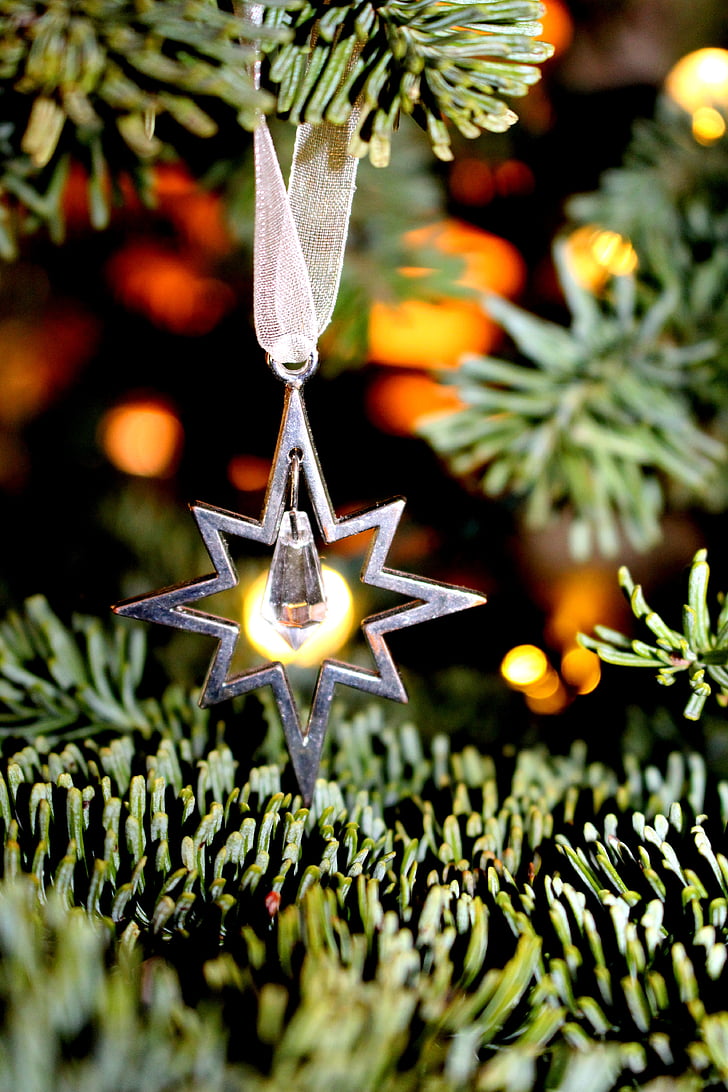 Nadal, estrella, vacances, decoració, Nadal, celebració, estel de Nadal