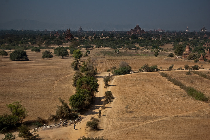 Bagan, Myanmar, rejse, gyldne land, gamle, pagode, landskab
