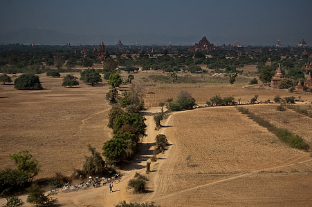 Bagan, Myanmar, Viaggi, terra dorata, antica, Pagoda, paesaggio