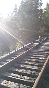 rongi tracks, loodus, rongi, jälgida, raudtee, raudtee, raudtee