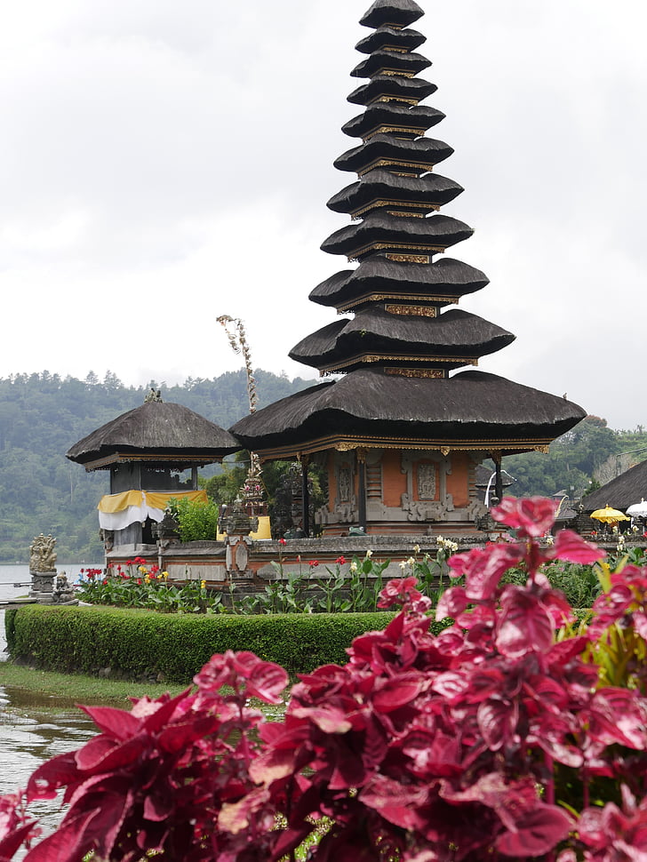 バリ島, インドネシア, アジア, 建物外観, 花, 宗教, 造られた構造