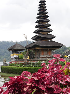 Bali, Indonésie, l’Asie, bâtiment extérieur, fleur, religion, structure bâtie