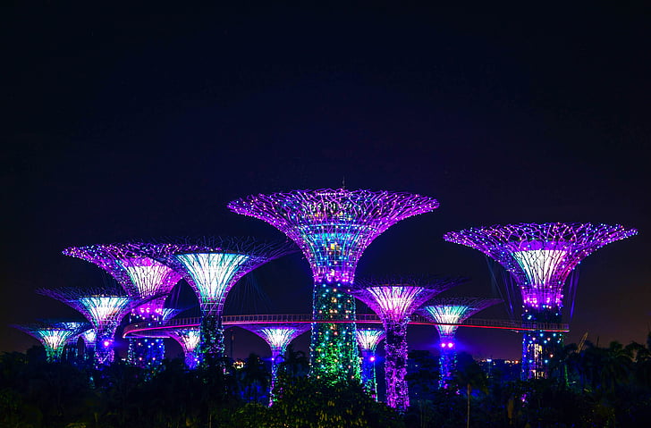 město, parku, Singapur, noční, světla, osvětlené, venku