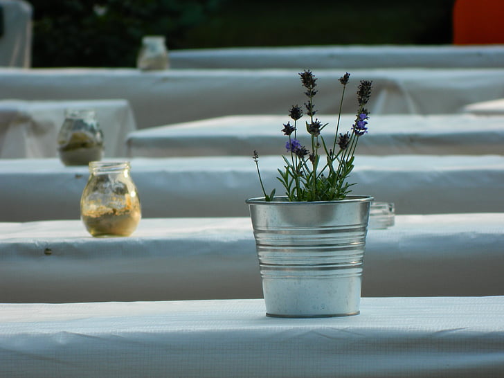 potten, vas, lavendel, blomma, tabell, sommar, prydnad