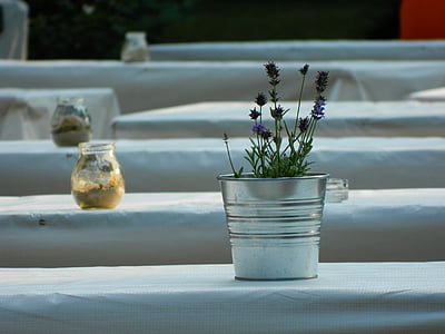 potten, vase, lavendel, blomst, tabell, Sommer, ornament