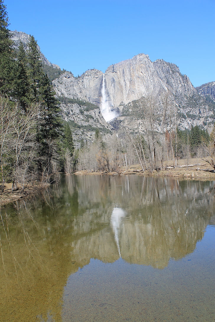 El capitan, Yosemite, träd, Park, Kalifornien, nationella, landskap