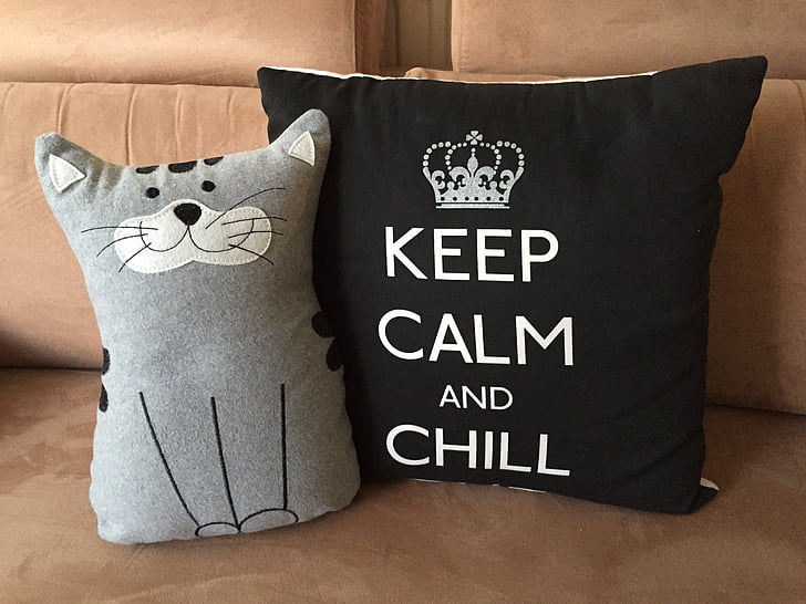 Poduszka, zrelaksować się, Chill, Zachowaj spokój, kotek, Kot, kanapa