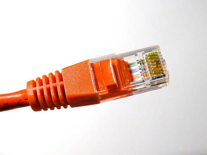 connecteur LAN, connexion, LAN, www, Internet, intranet, câble de données