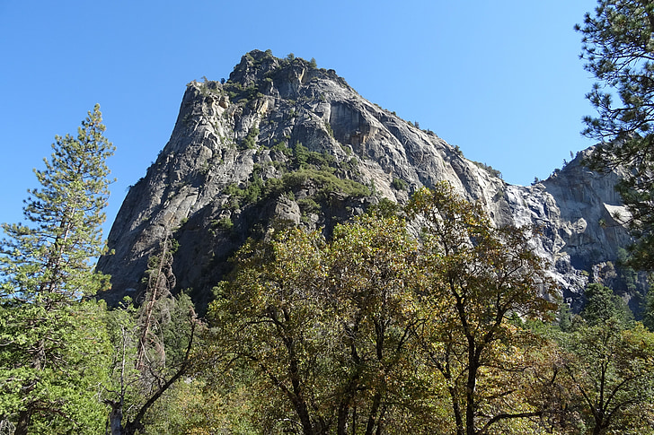 Dolina, roślinność, Yosemite, park narodowy, formacja skalna, góry, Granit