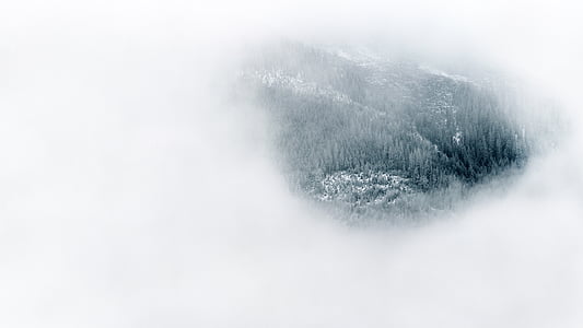 peak, view, mountain, cloudy, background, cloud, forest