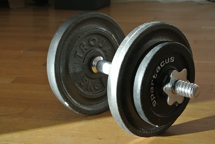 dumbbell, weight, training, exercising, sport, strength, healthy Lifestyle